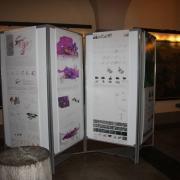 An exhibition of student designs for "The new theatre for the 21st Century"